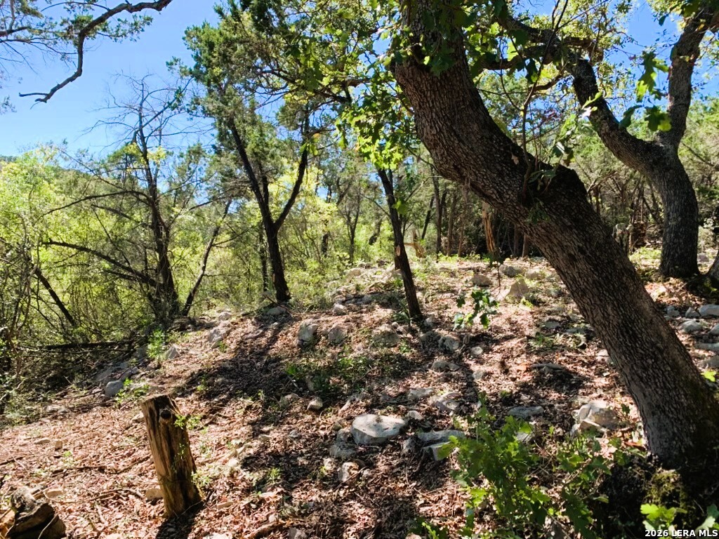 Lot 51 Pr 2537 Mico TX 78056