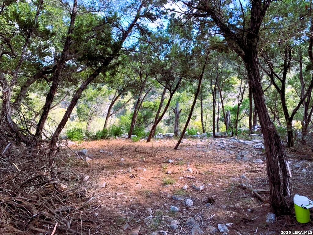 Lot 51 Pr 2537 Mico TX 78056