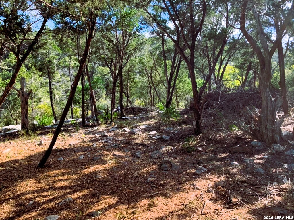 Lot 51 Pr 2537 Mico TX 78056