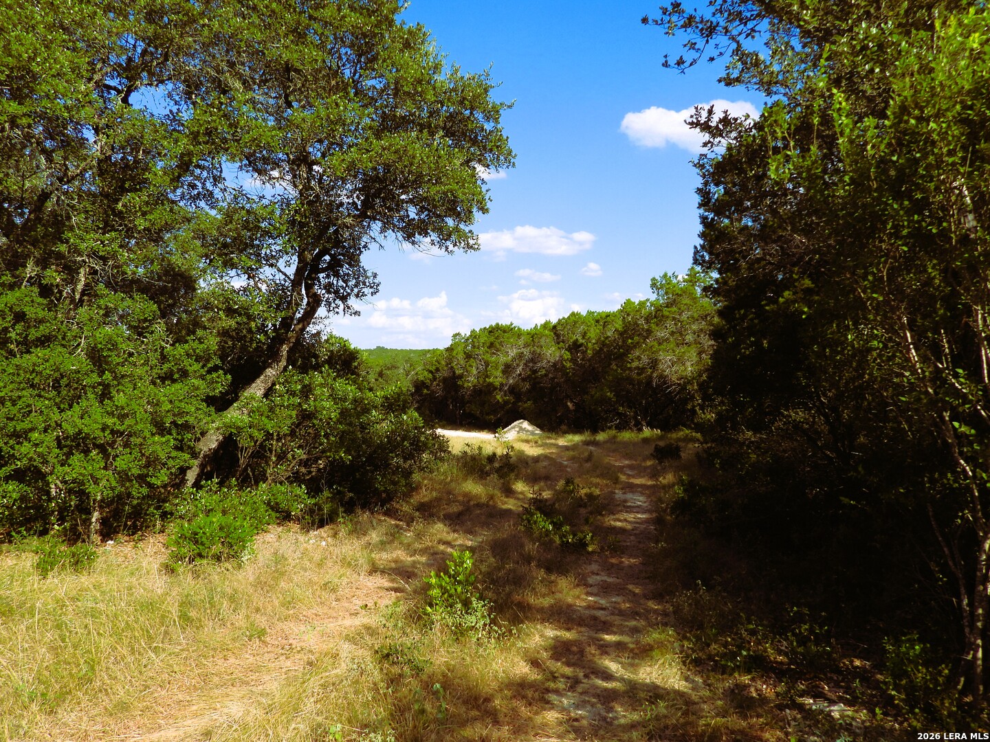 Lot 51 Pr 2537 Mico TX 78056