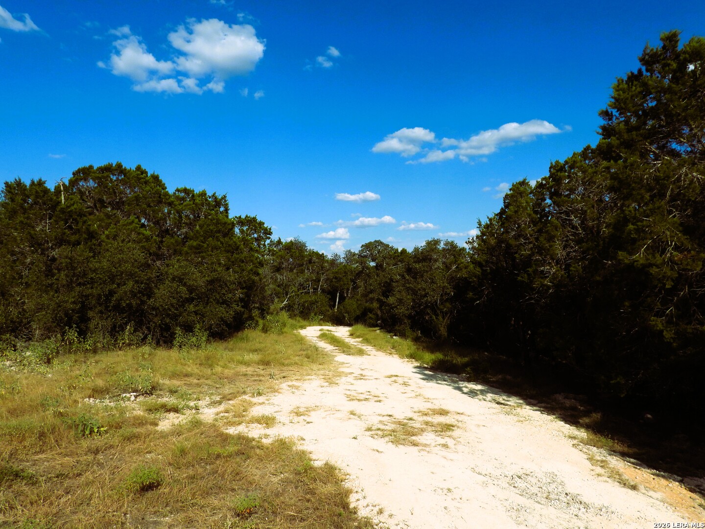 Lot 51 Pr 2537 Mico TX 78056