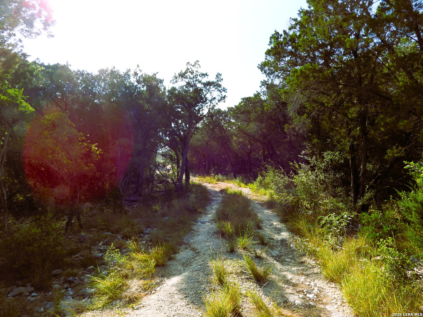 Lot 51 Pr 2537 Mico TX 78056