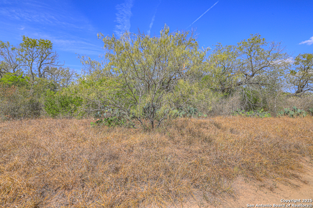 445 Single Oak Road Seguin TX 78155