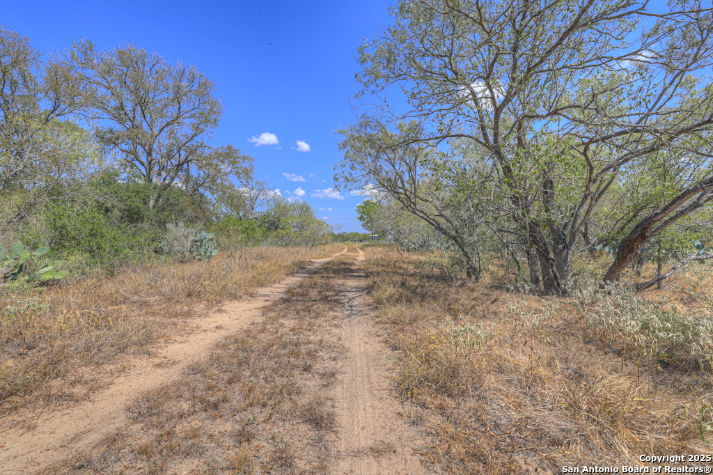 445 Single Oak Road Seguin TX 78155