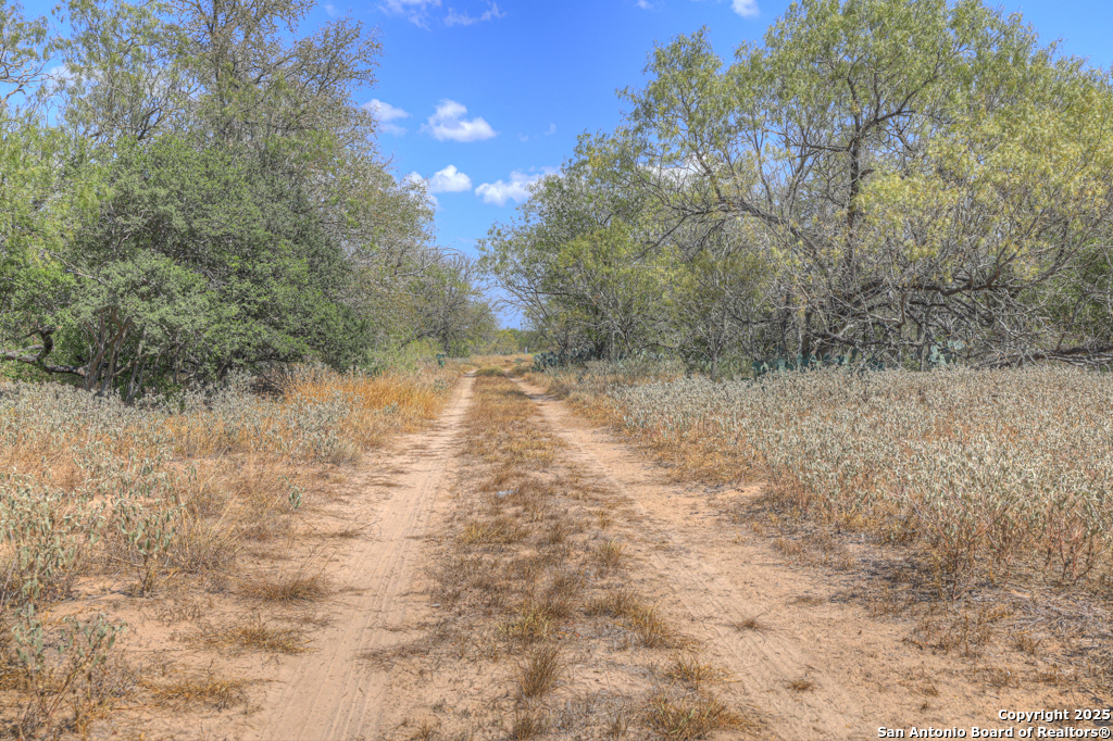 445 Single Oak Road Seguin TX 78155