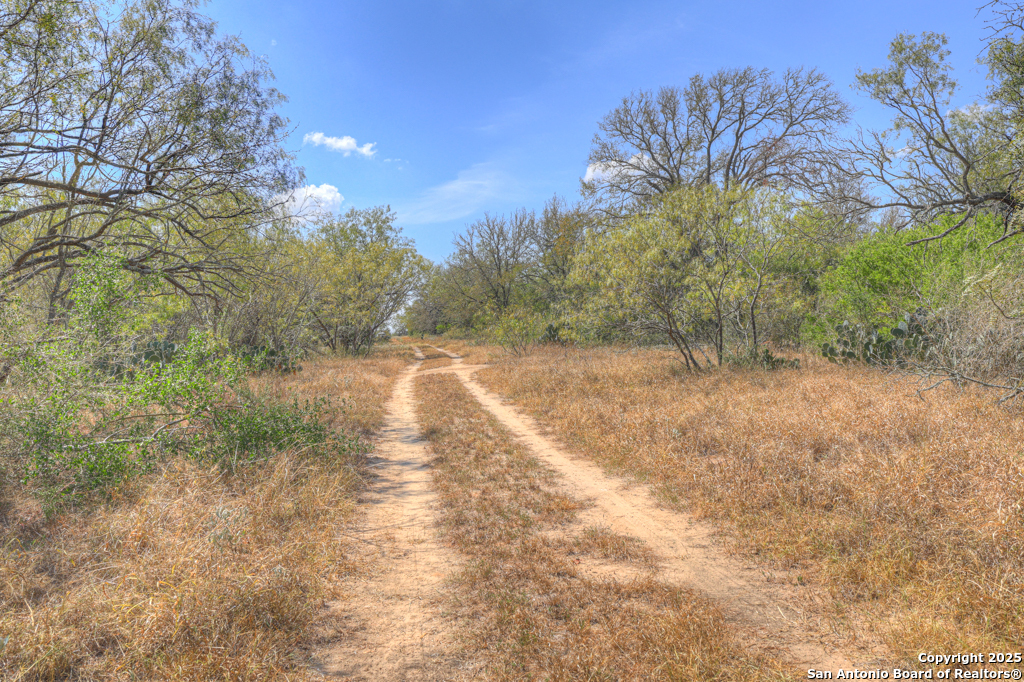445 Single Oak Road Seguin TX 78155