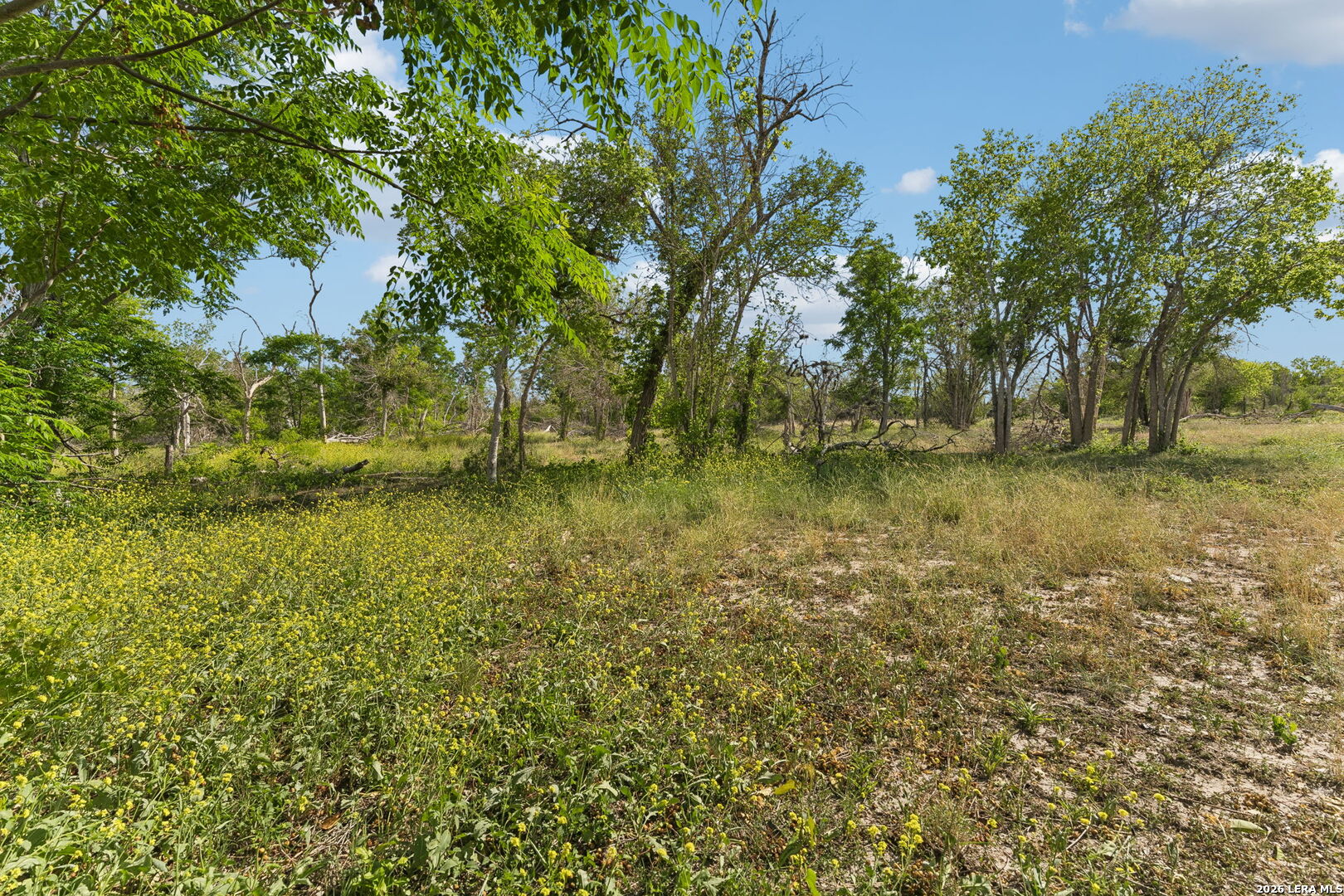 2314 Chavaneaux San Antonio TX 78214