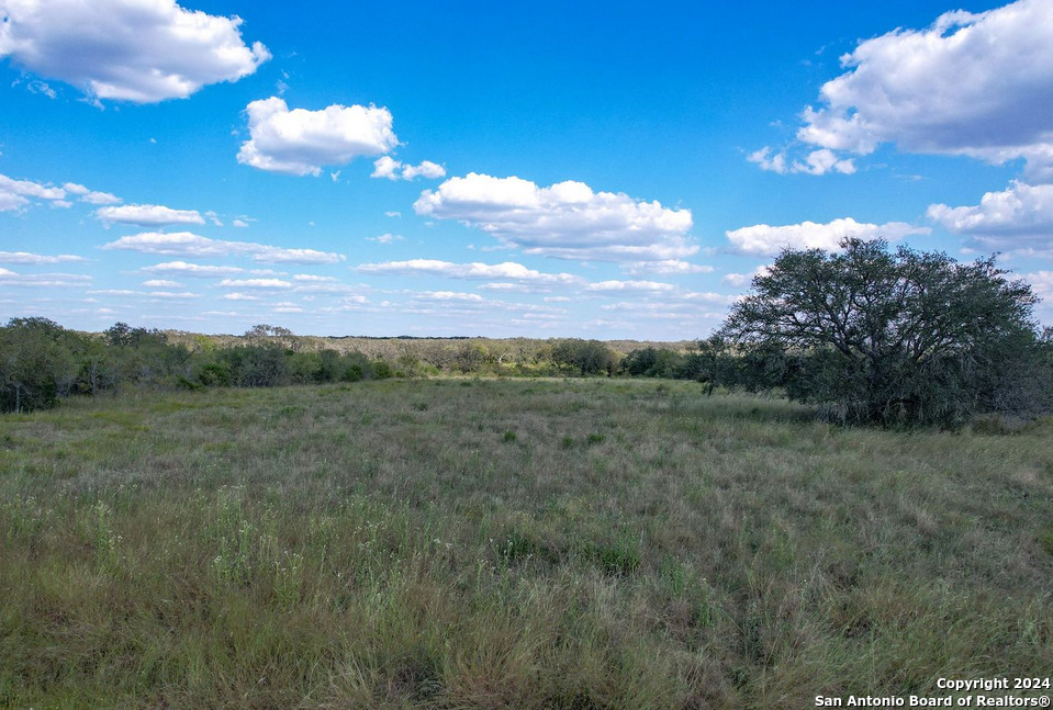 00 Utopia Forest Dhanis TX 78850