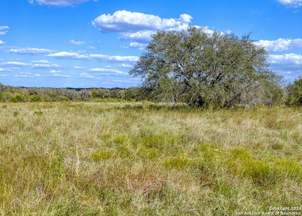 00 Utopia Forest Dhanis TX 78850