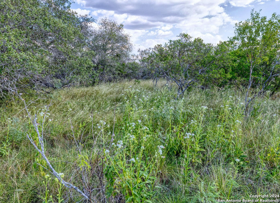 00 Utopia Forest Dhanis TX 78850