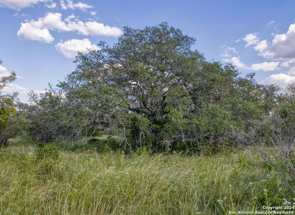 00 Utopia Forest Dhanis TX 78850