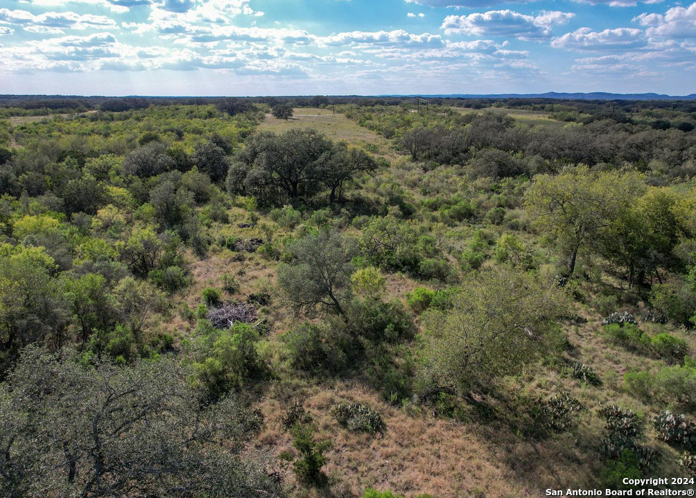 00 Utopia Forest Dhanis TX 78850