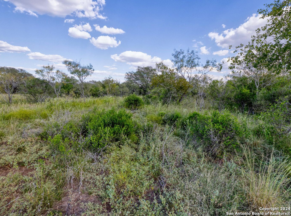 00 Utopia Forest Dhanis TX 78850