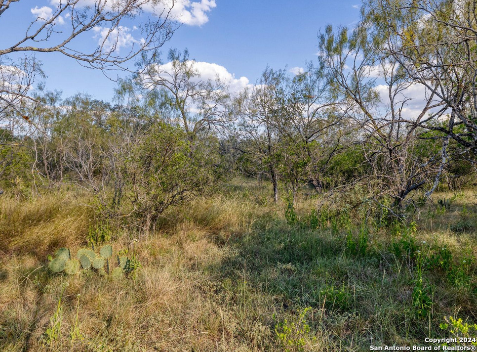 00 Utopia Forest Dhanis TX 78850