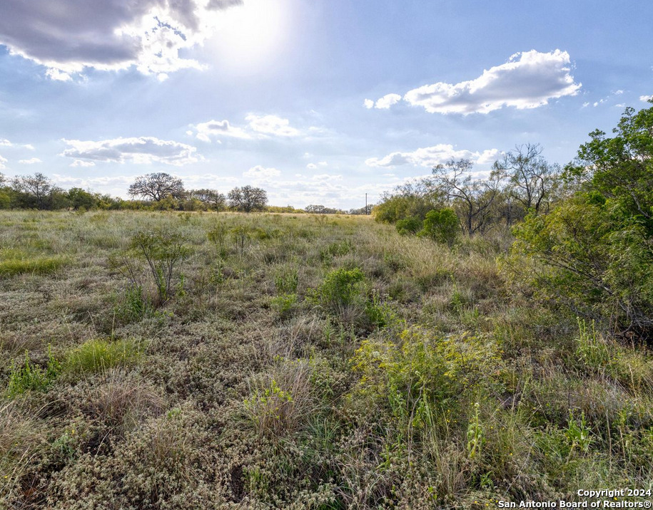 00 Utopia Forest Dhanis TX 78850
