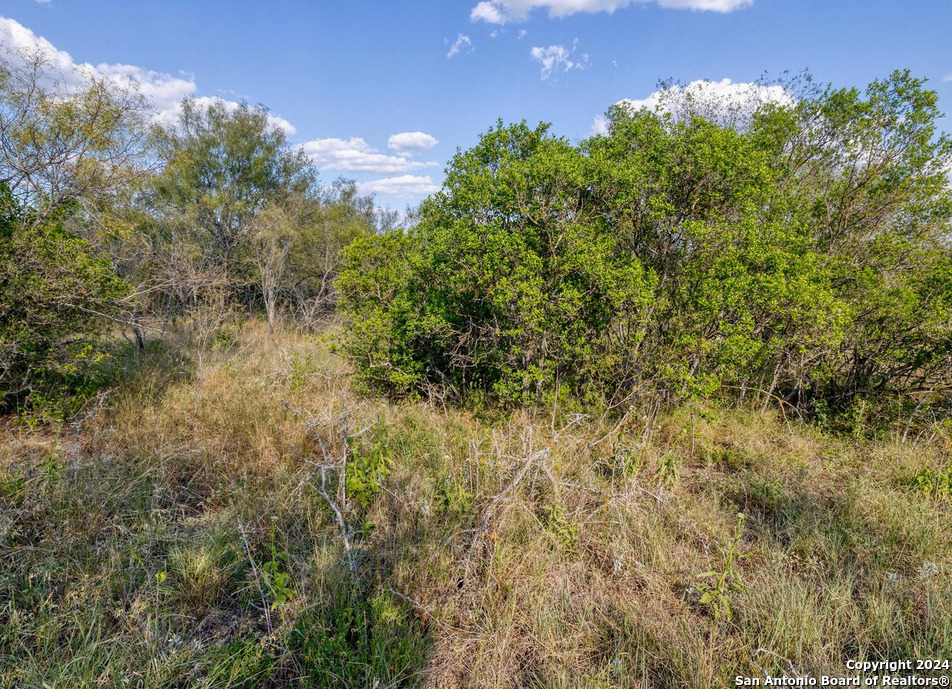00 Utopia Forest Dhanis TX 78850
