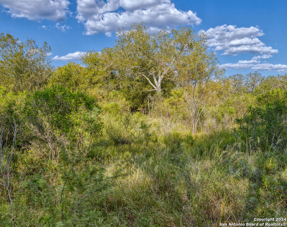 00 Utopia Forest Dhanis TX 78850