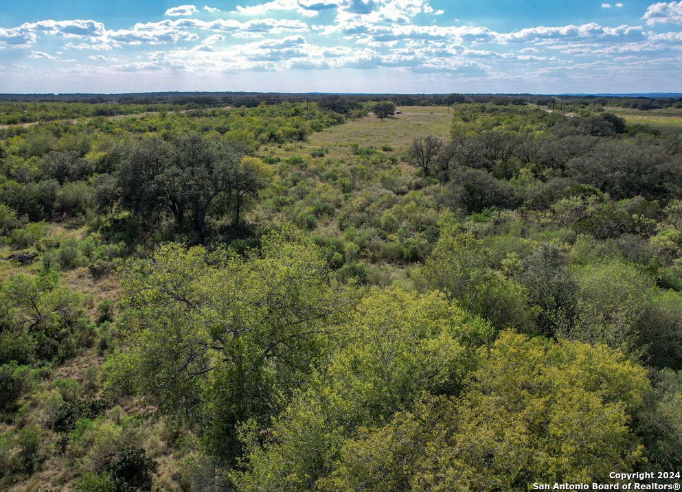 00 Utopia Forest Dhanis TX 78850