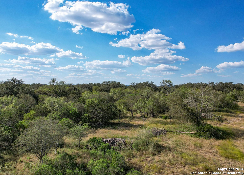 00 Utopia Forest Dhanis TX 78850