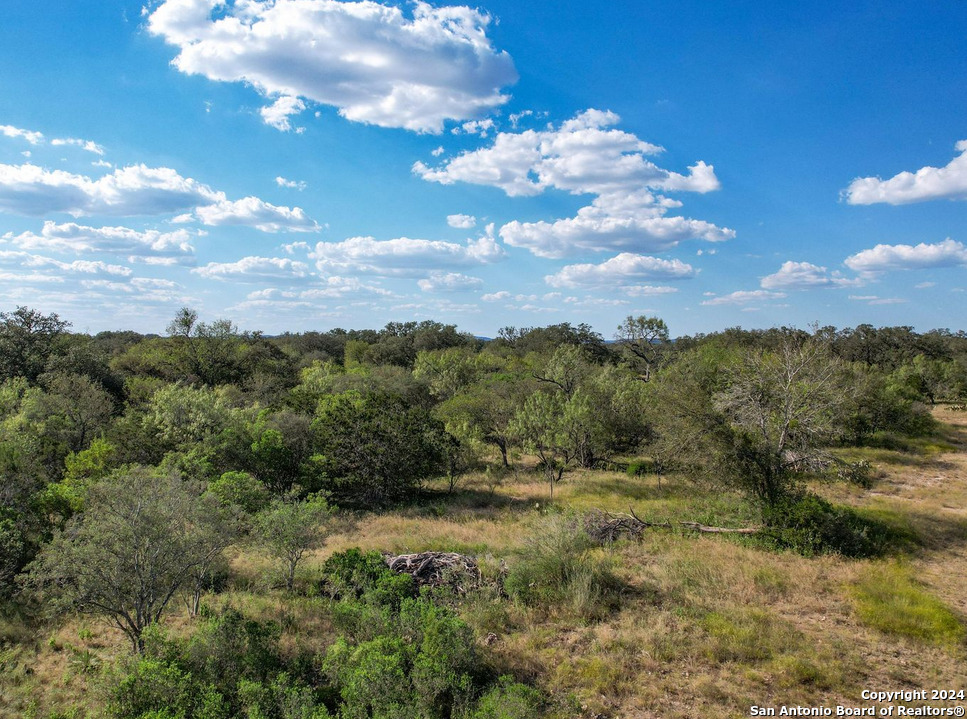 00 Utopia Forest Dhanis TX 78850