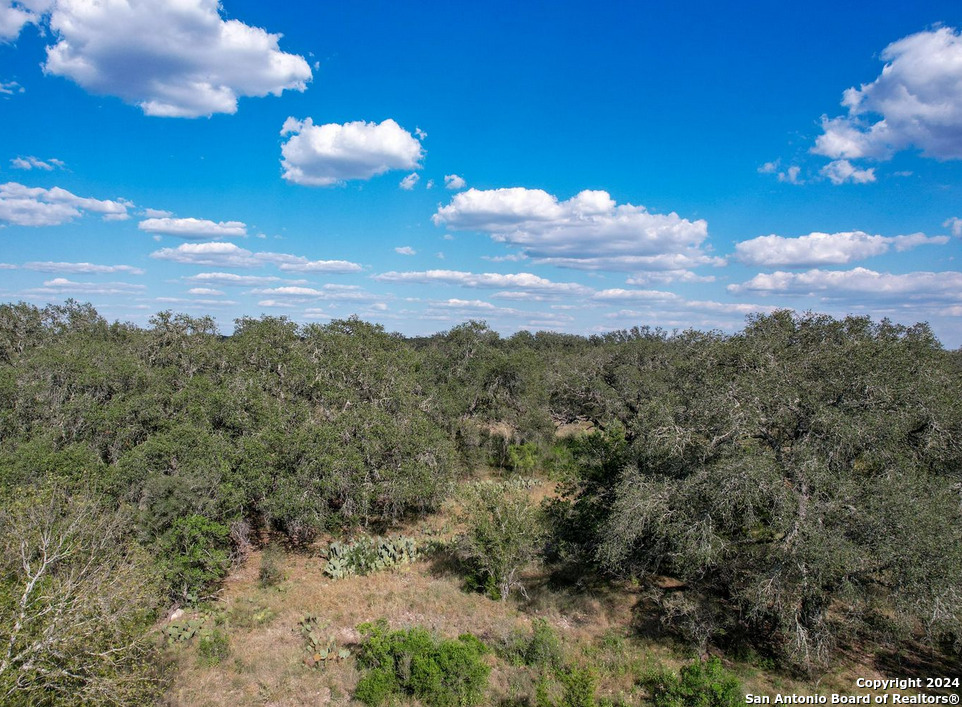 00 Utopia Forest Dhanis TX 78850