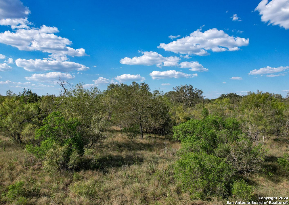 00 Utopia Forest Dhanis TX 78850