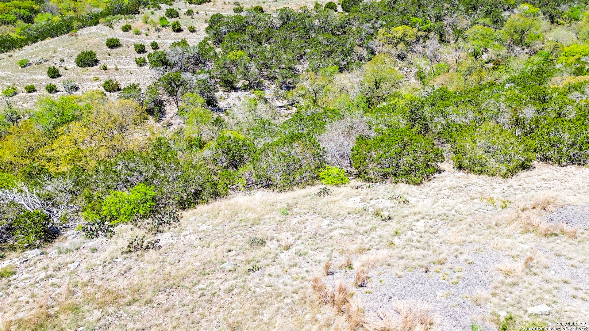 S Shapen Road Kerrville TX 78028