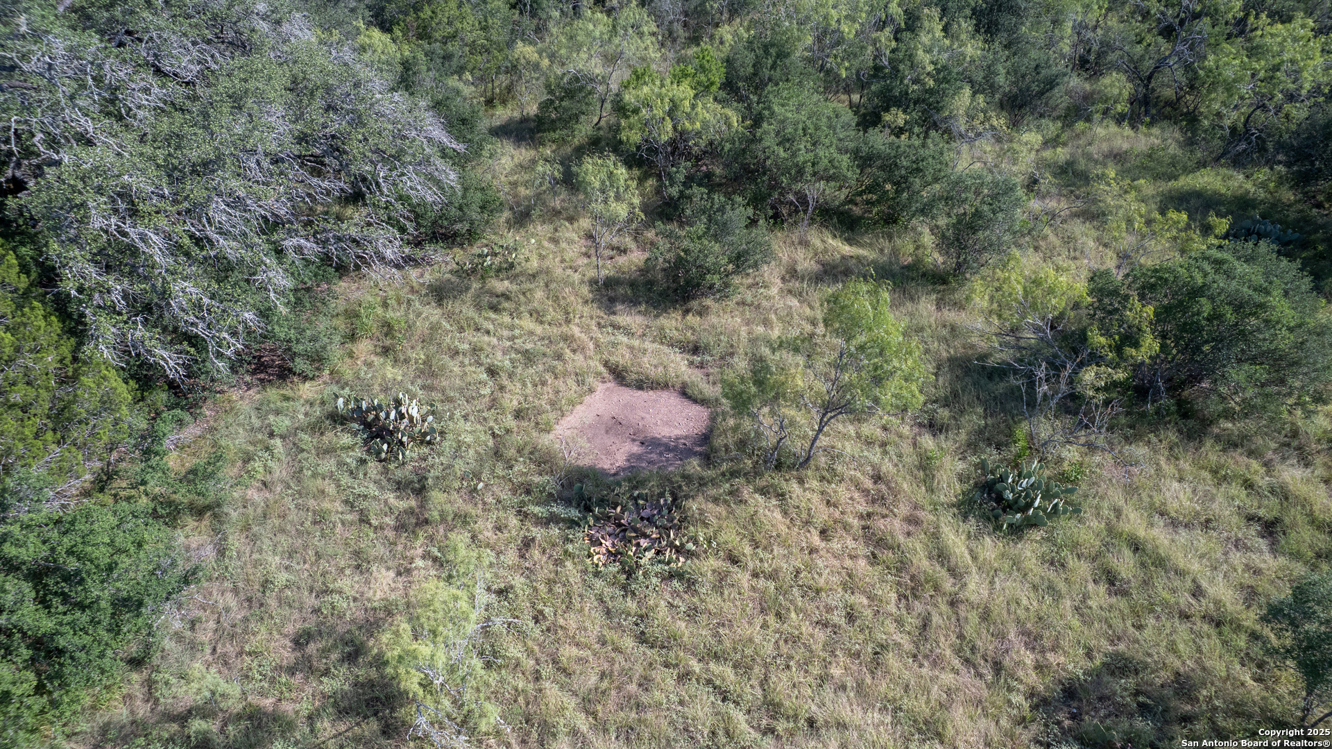 1 Utopia Forest Dhanis TX 78850