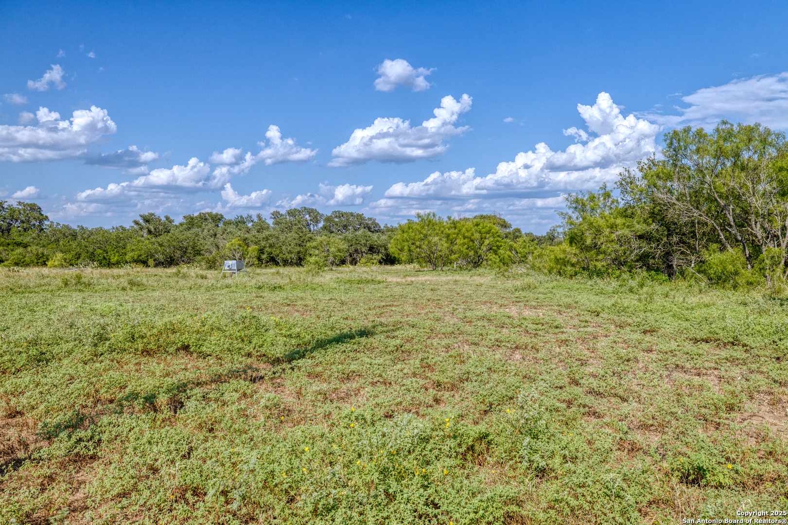 1 Utopia Forest Dhanis TX 78850