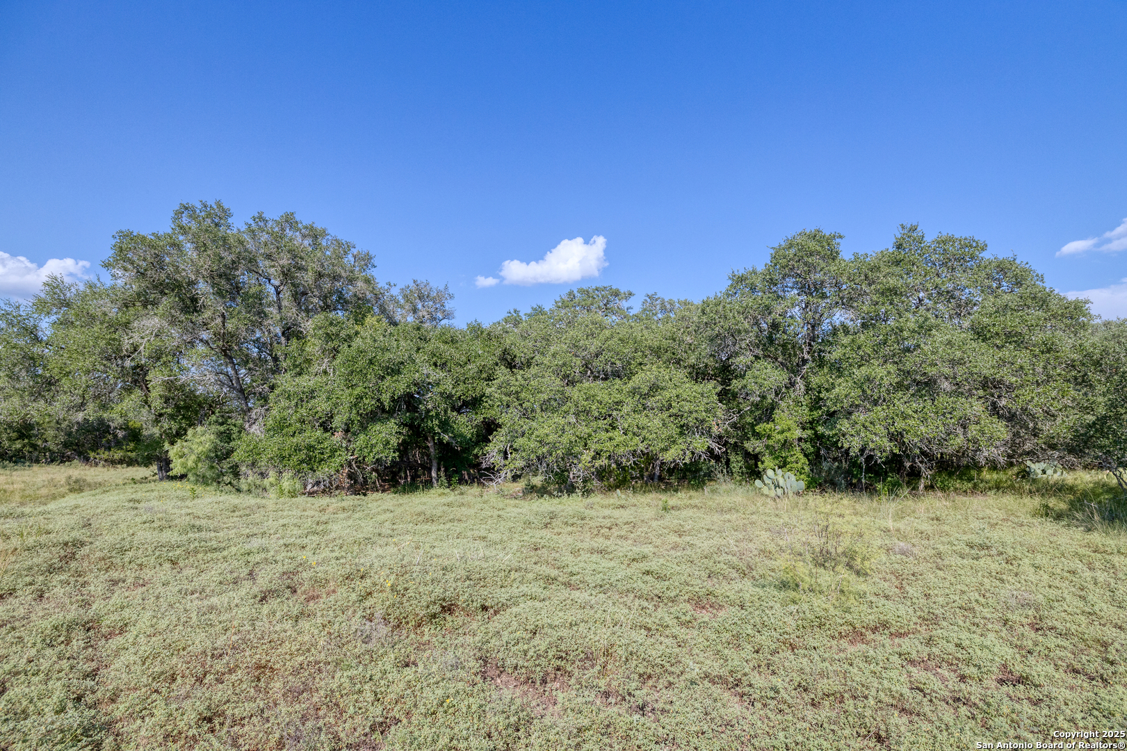 1 Utopia Forest Dhanis TX 78850