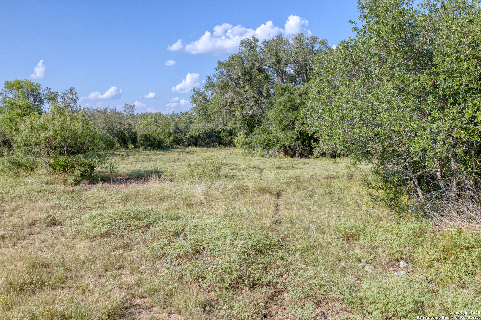 1 Utopia Forest Dhanis TX 78850