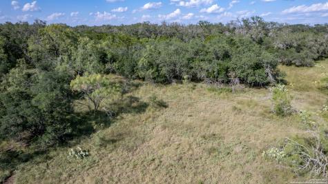 1 Utopia Forest Dhanis TX 78850