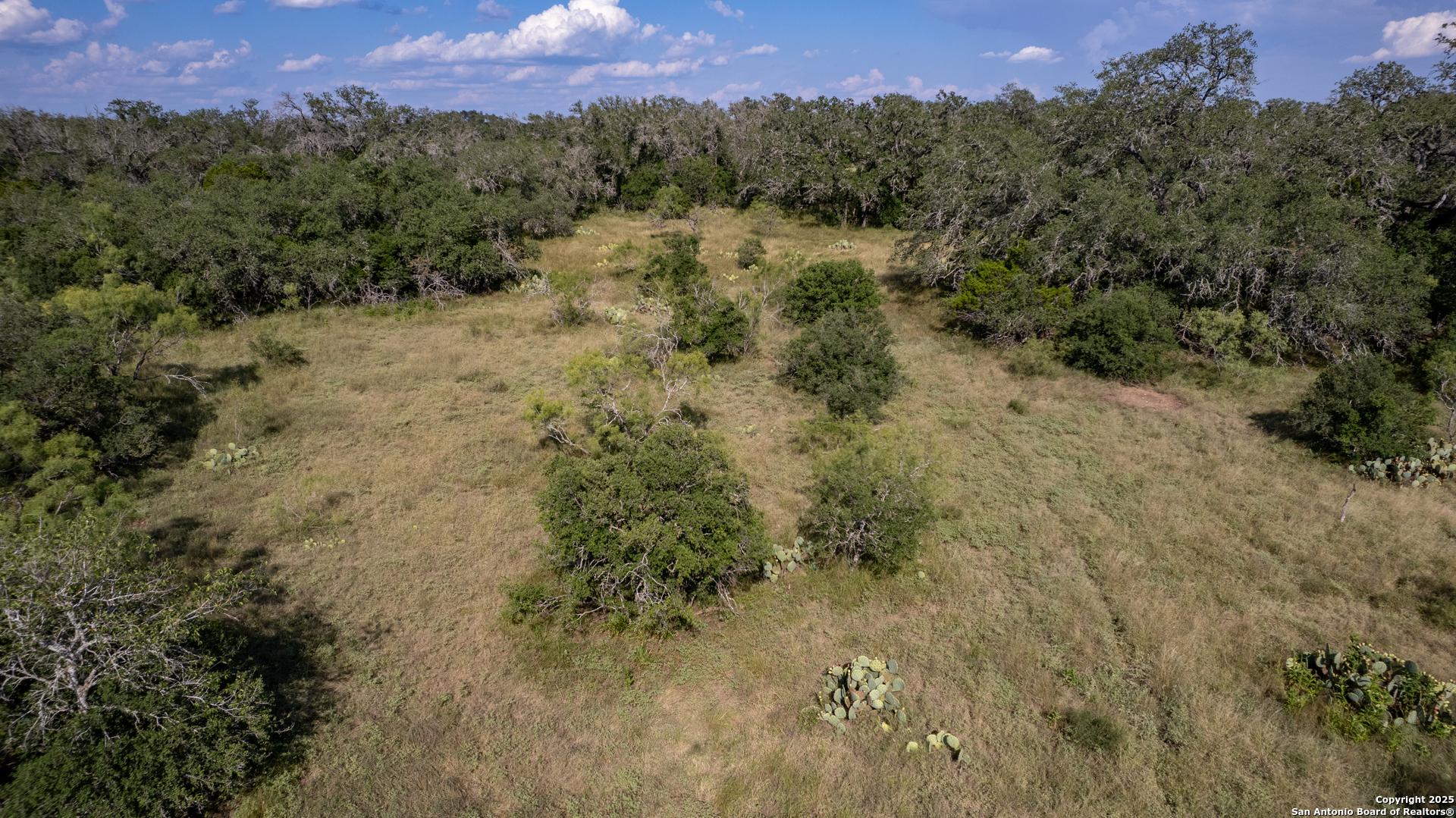 1 Utopia Forest Dhanis TX 78850