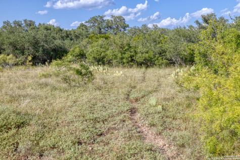 1 Utopia Forest Dhanis TX 78850