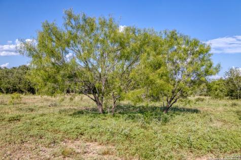1 Utopia Forest Dhanis TX 78850