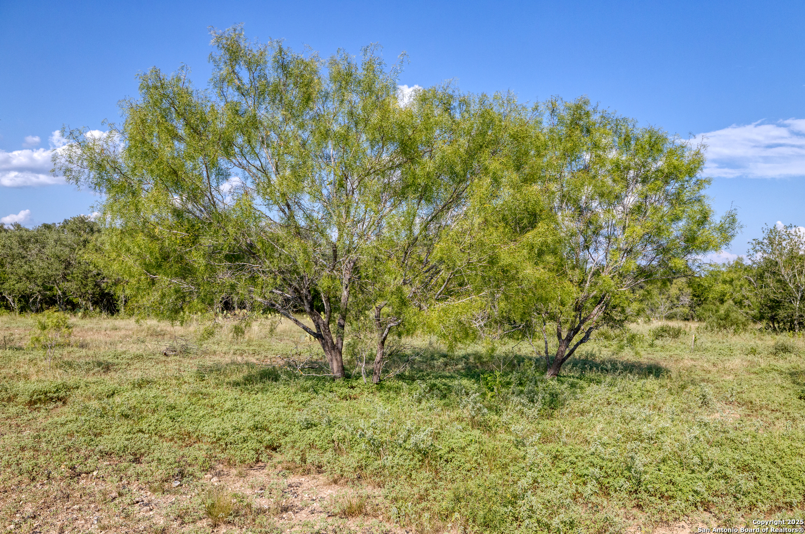 1 Utopia Forest Dhanis TX 78850