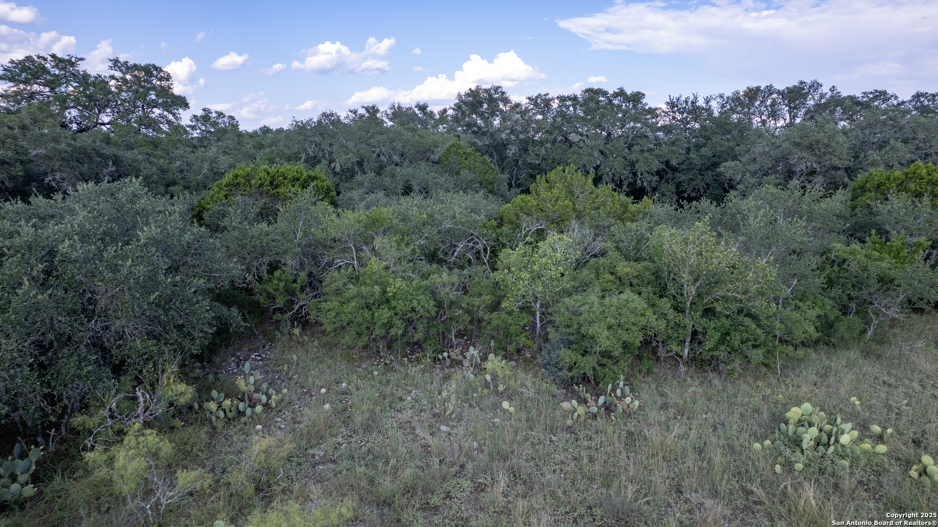1 Utopia Forest Dhanis TX 78850