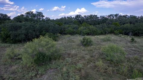 1 Utopia Forest Dhanis TX 78850