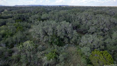1 Utopia Forest Dhanis TX 78850