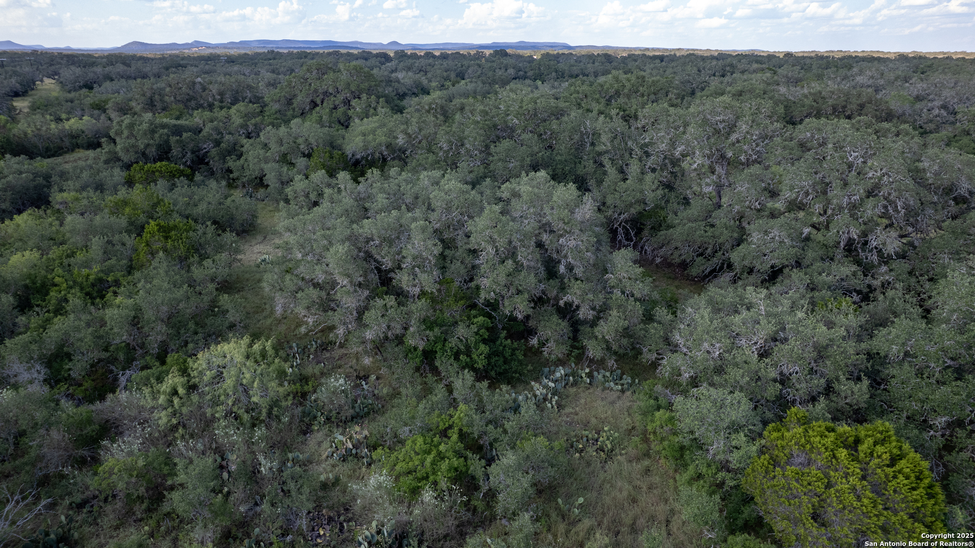 1 Utopia Forest Dhanis TX 78850