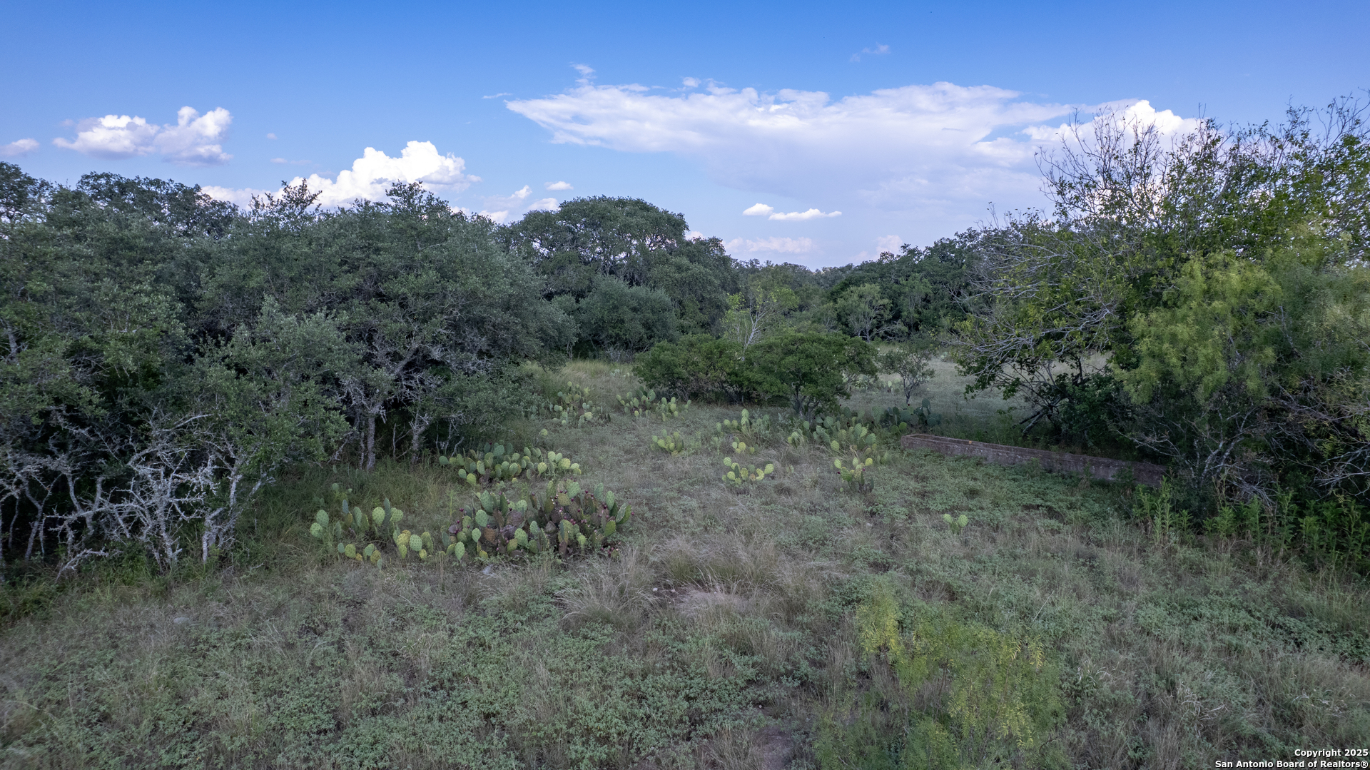 1 Utopia Forest Dhanis TX 78850