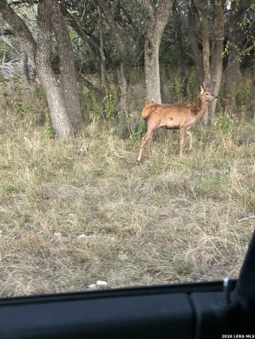 1 Utopia Forest Dhanis TX 78850