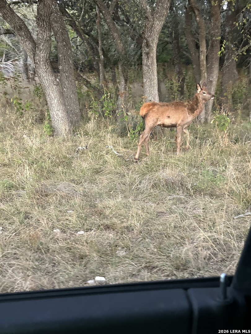 1 Utopia Forest Dhanis TX 78850