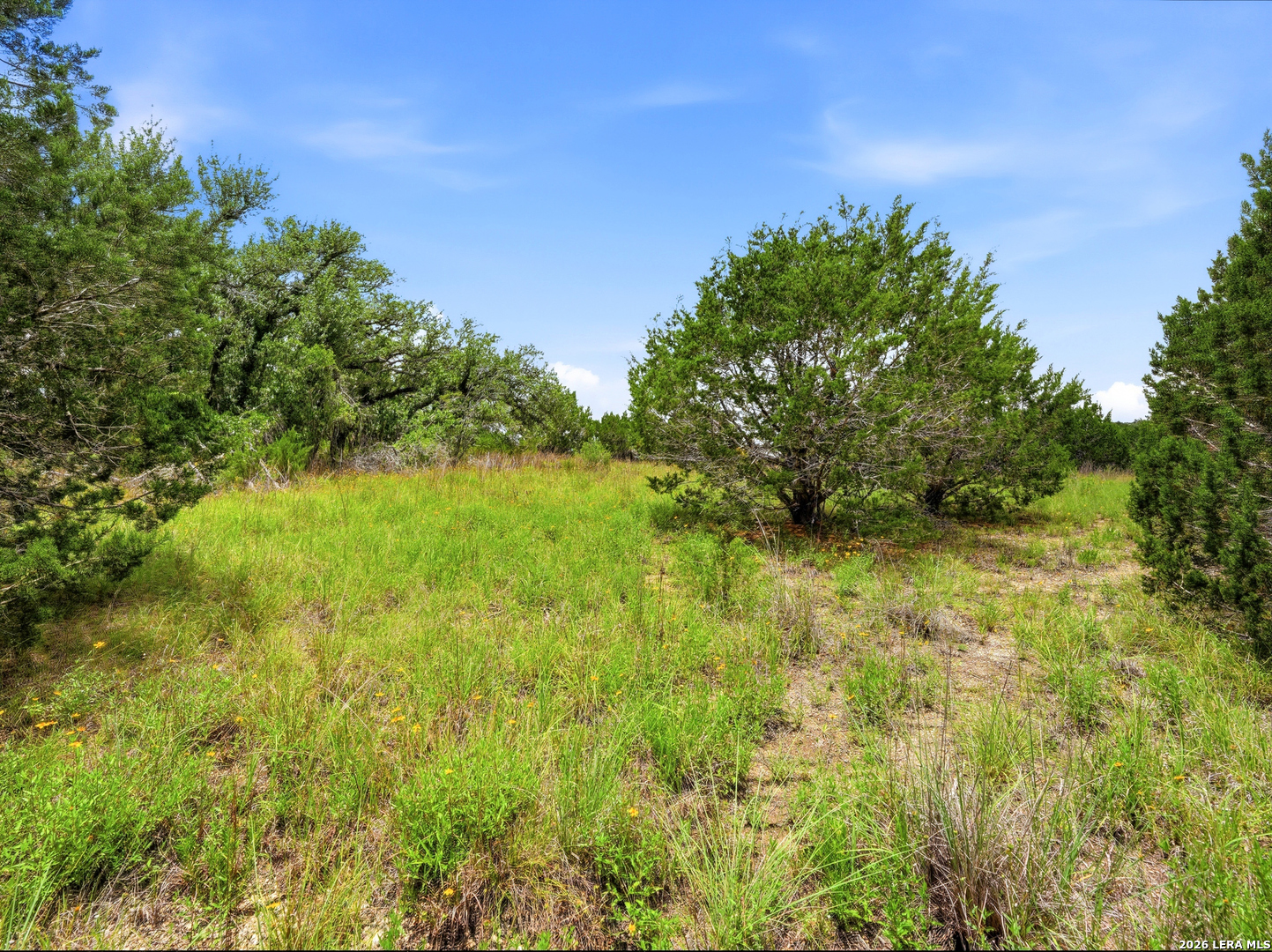 1030 Sunrise Place Spring Branch TX 78070