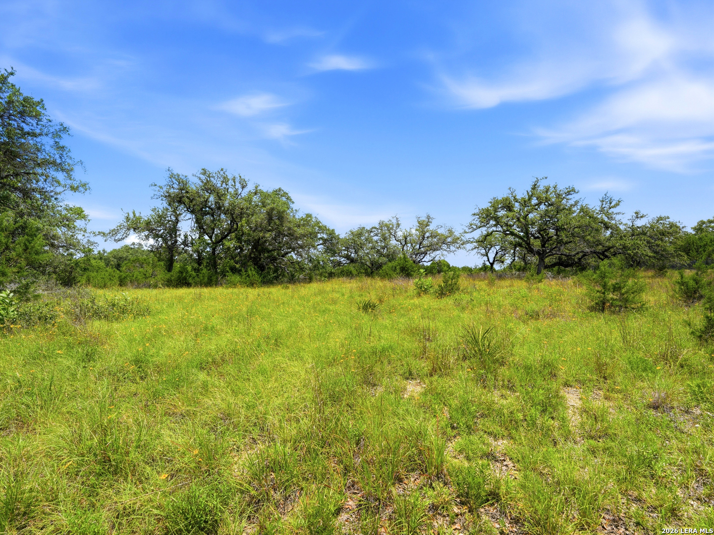 1030 Sunrise Place Spring Branch TX 78070