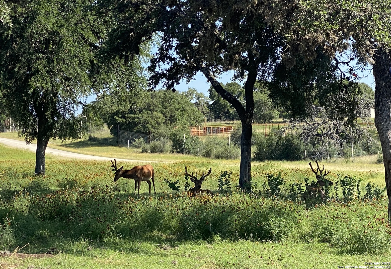 Lot 56 Red Stag Lane Pipe Creek TX 78063