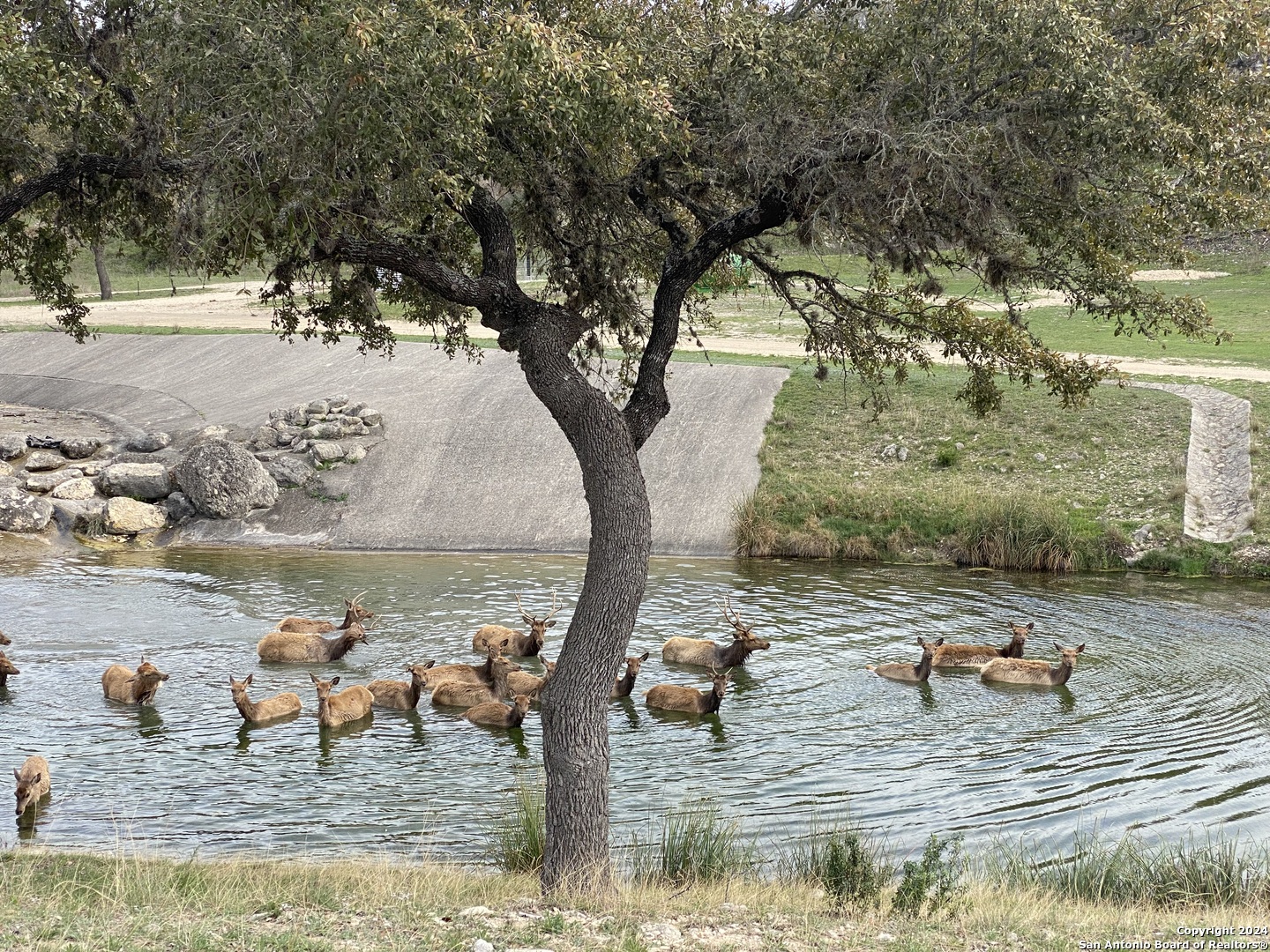 Lot 56 Red Stag Lane Pipe Creek TX 78063