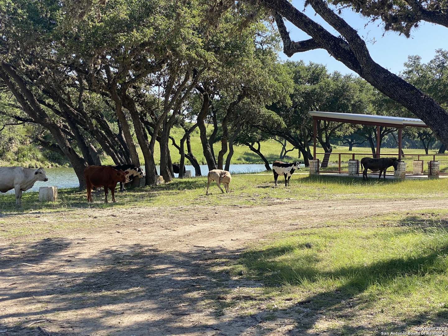 Lot 56 Red Stag Lane Pipe Creek TX 78063