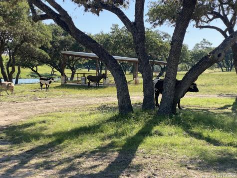 Lot 56 Red Stag Lane Pipe Creek TX 78063