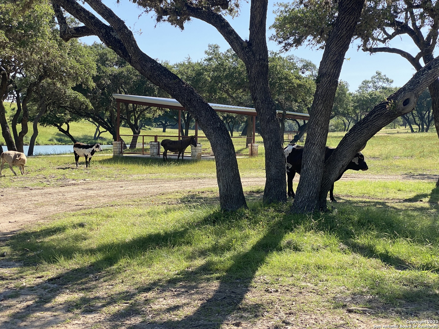Lot 56 Red Stag Lane Pipe Creek TX 78063